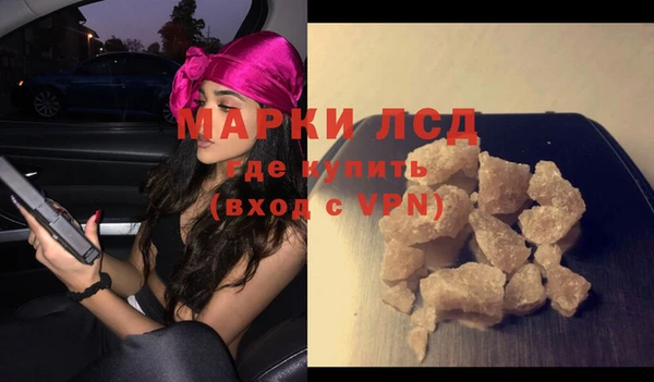 шишки Елизово