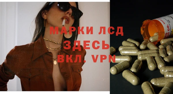 шишки Елизово