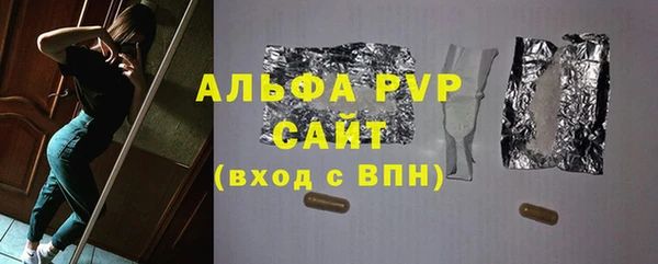 шишки Елизово