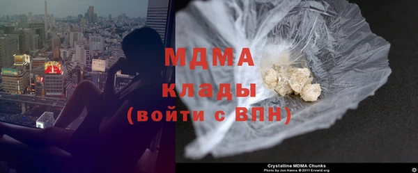 шишки Елизово