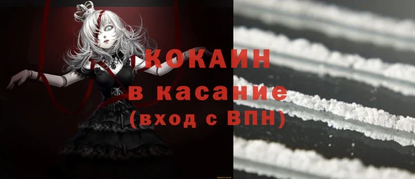 шишки Елизово
