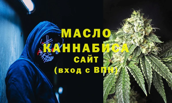 шишки Елизово