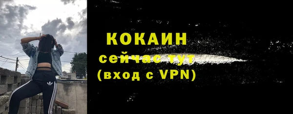 шишки Елизово