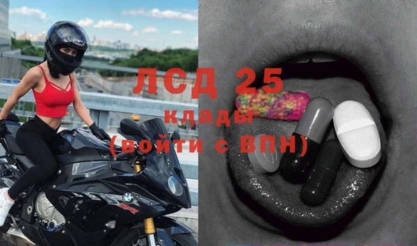 СК Заводоуковск