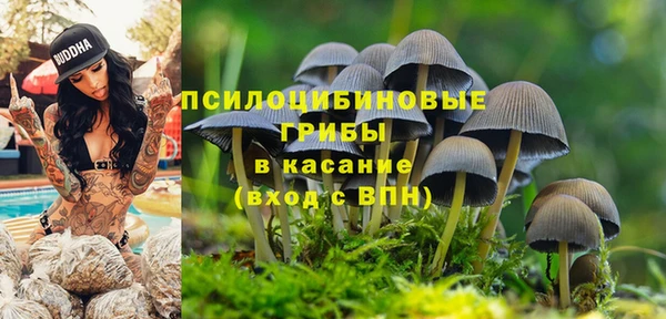 твердый Елабуга