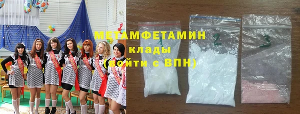 шишки Елизово